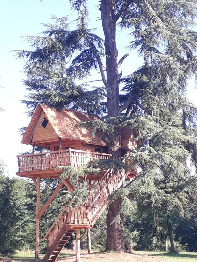 Relais Du Haget Bed & Breakfast Cravenceres Bagian luar foto